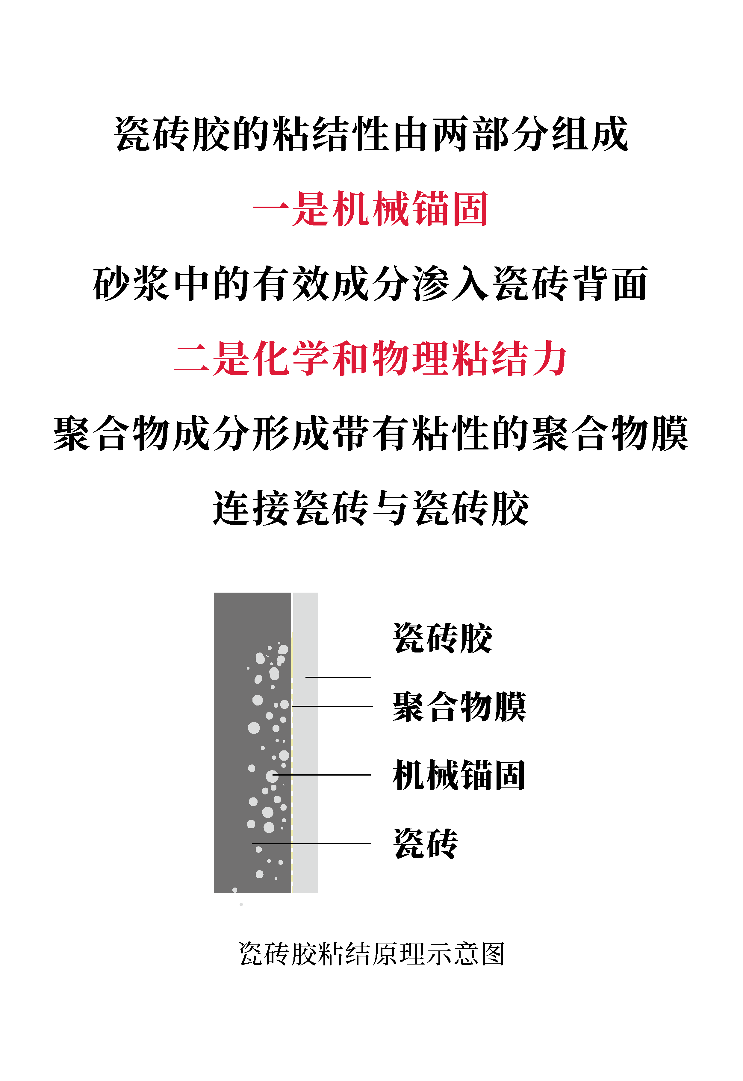 瓷砖胶推文_画板 1 副本 8.png