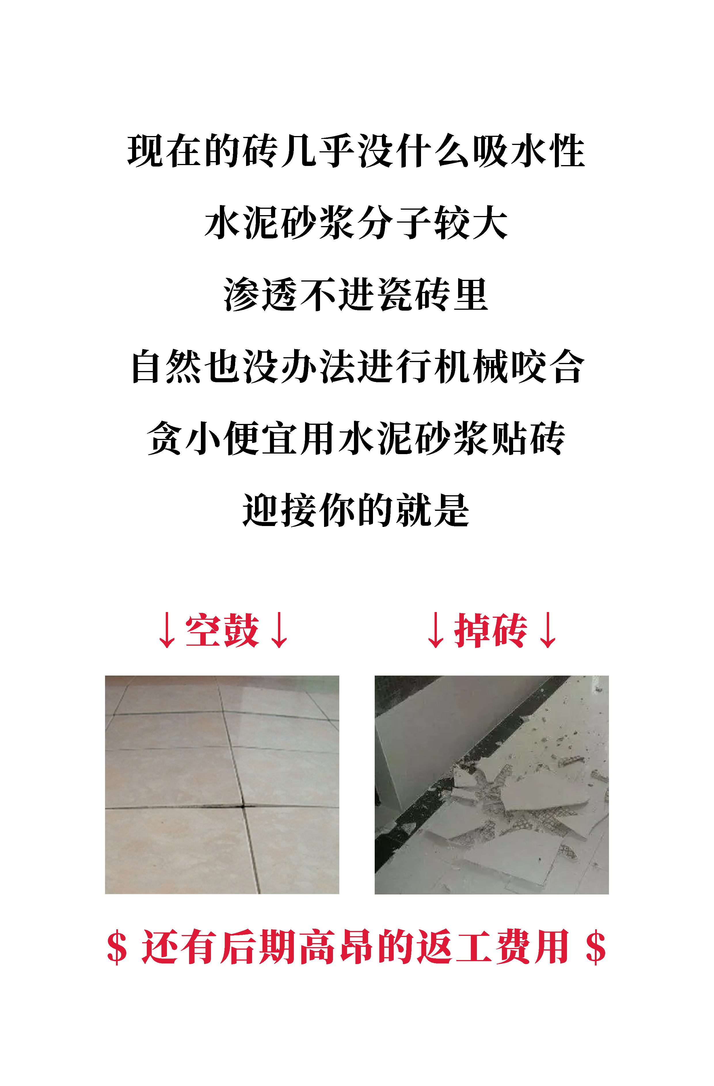 瓷砖胶推文_画板 1 副本 4.png